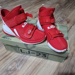 Nike LeBron Soldier XIII SFG basketball shoes